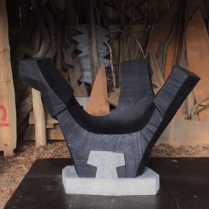 'Rook'